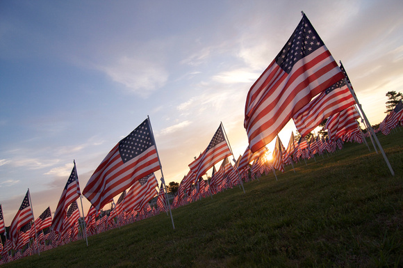 Flag Day
